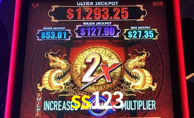Descubra o Mundo do Cassino Online com ss123
